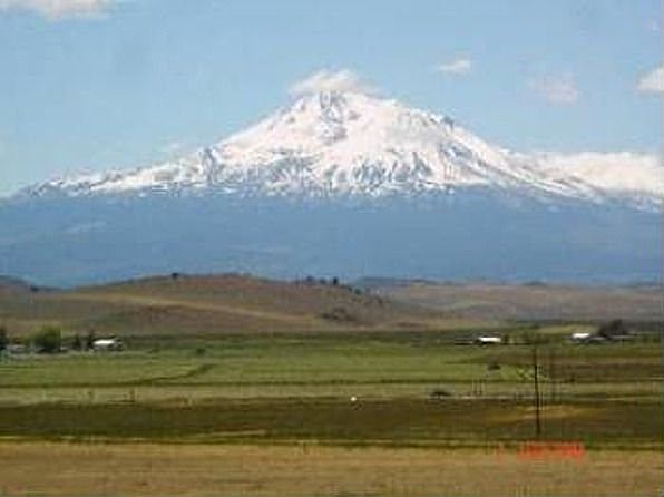 Mount Shasta