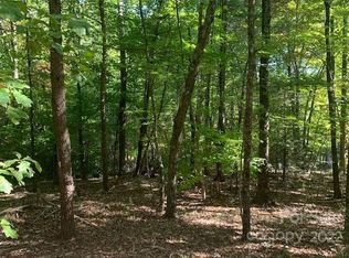 99999 Quail Ridge Rd #246, Lake Lure, NC 28746