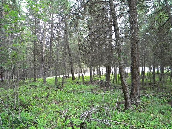 3rd image of Nhn Elk Trl