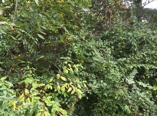 31 Saint Johns Rd, Budd Lake, NJ 07828