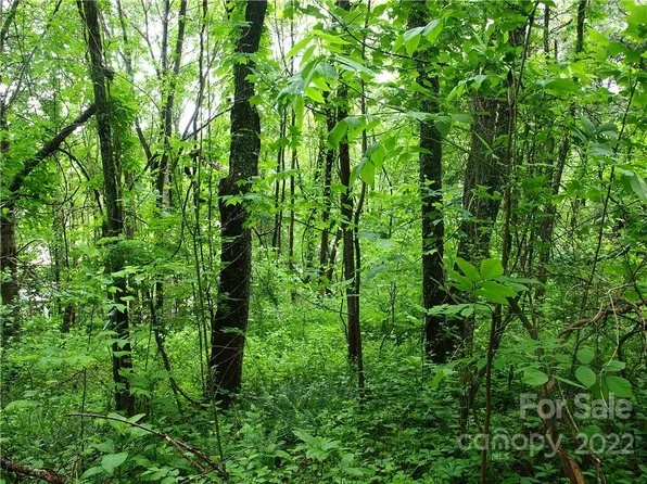 0 Eclipse Est, Waynesville, NC 28786