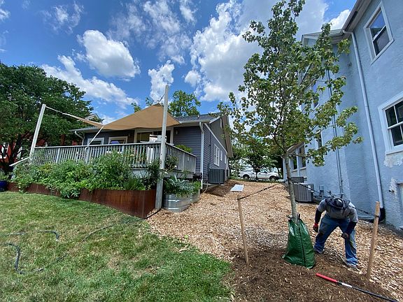 Raised beds for kitchen garden three new shade tress on property