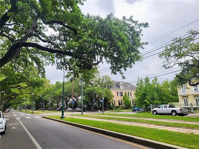 7 Palm Ter — Photo 11
