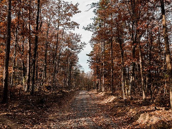 5th image of 0 Reed Ln