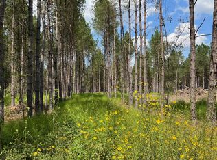 PARCEL Old River Rd #K, Moselle, MS 39459