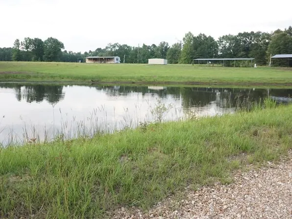 61662 Bennett Rd, Roseland, LA 70456