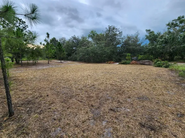 2925 W Bandra Road, Avon Park, FL 33825