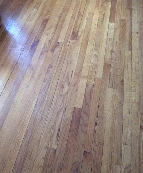 464 Blohm St #1 — Photo 2