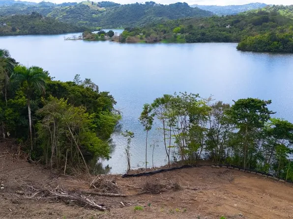 Carr 827 Km 5.0 Interior Bo Ortiz Lot 2, Toa Alta, PR 00953