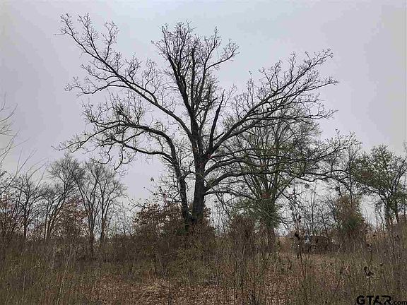 4th image of County Road Road1170