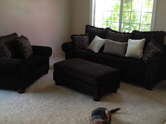 We are pet-friendly!