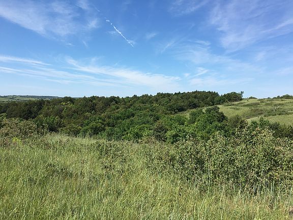View from back yard