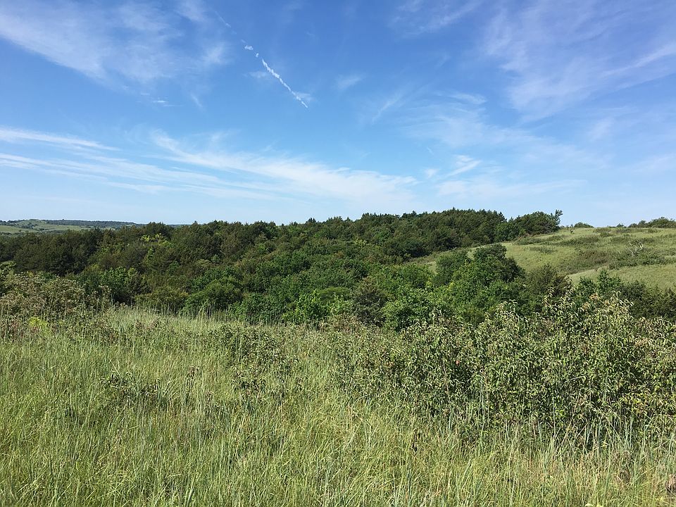View from back yard
