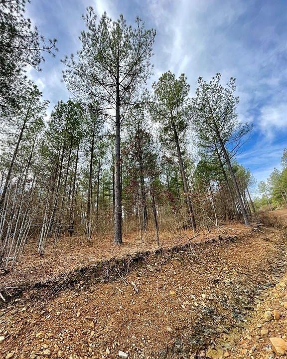 2nd image of 719 Timber Creek Trl