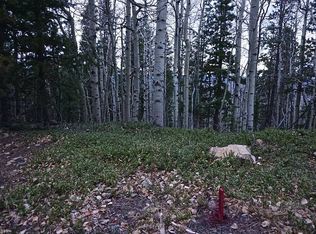 3 Hidden Wilderness Rd, Idaho Springs, CO 80452