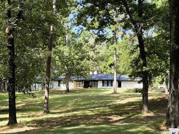 316 Woodland Lake Dr, Atlanta, TX 75551