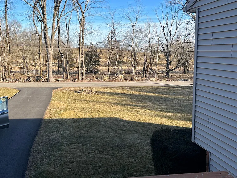 18 Browning Rd — Photo 9