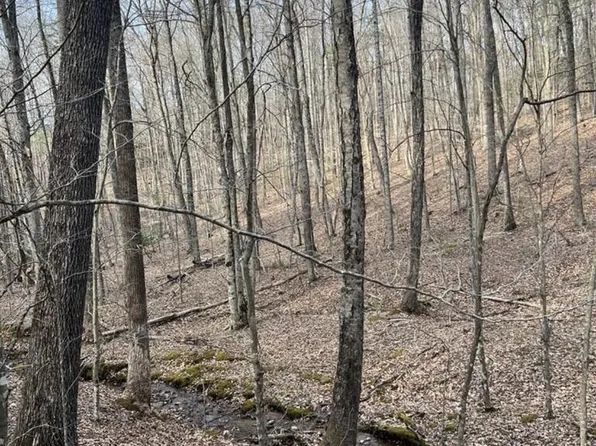 LOT 9 Cove Ln, Woodlawn, VA 24381