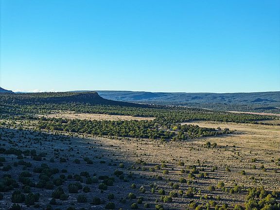 Dji 20251015195530 0658 D