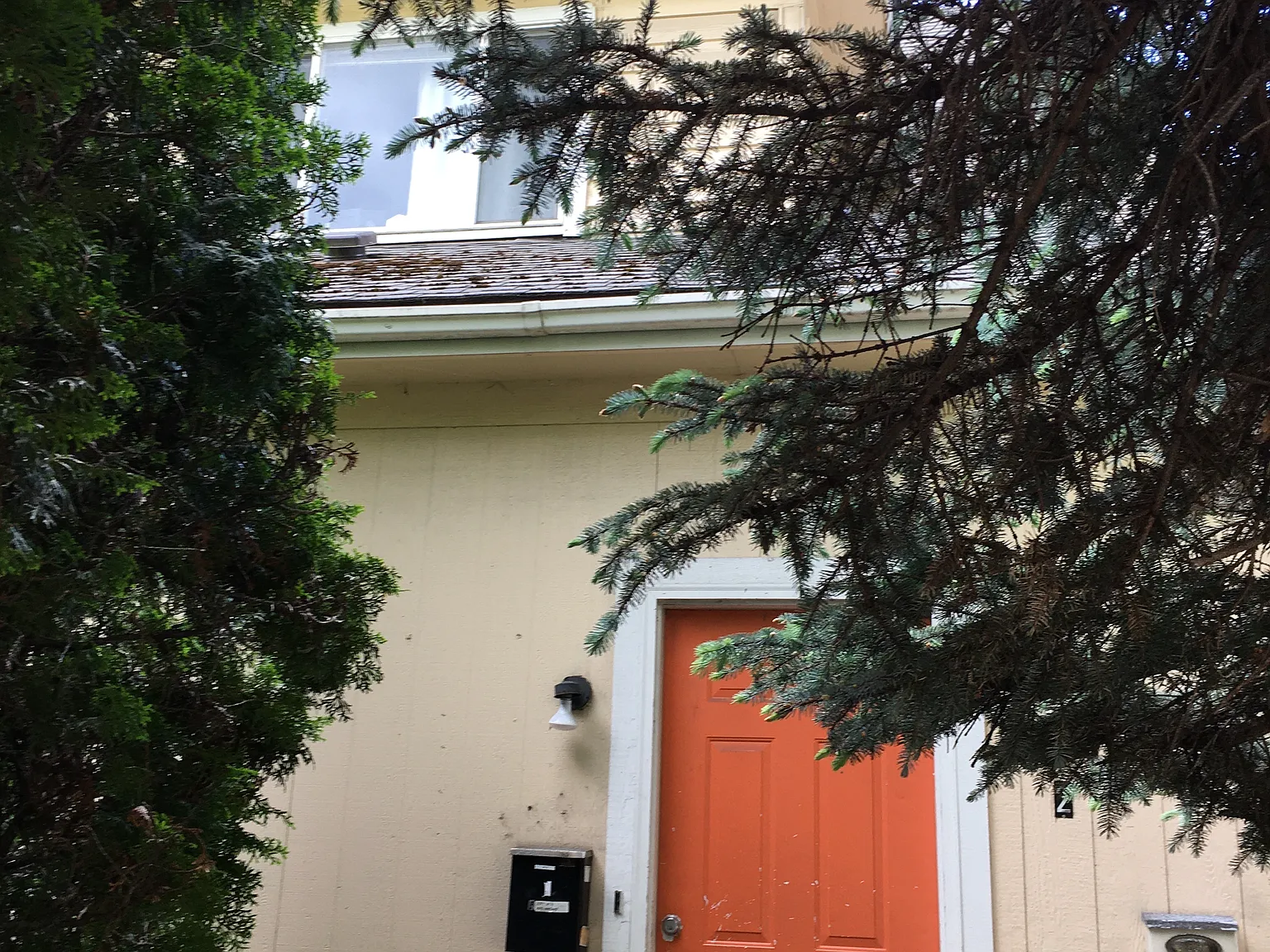 2 bed, 1000 sqft, $2,200 — Photo 1