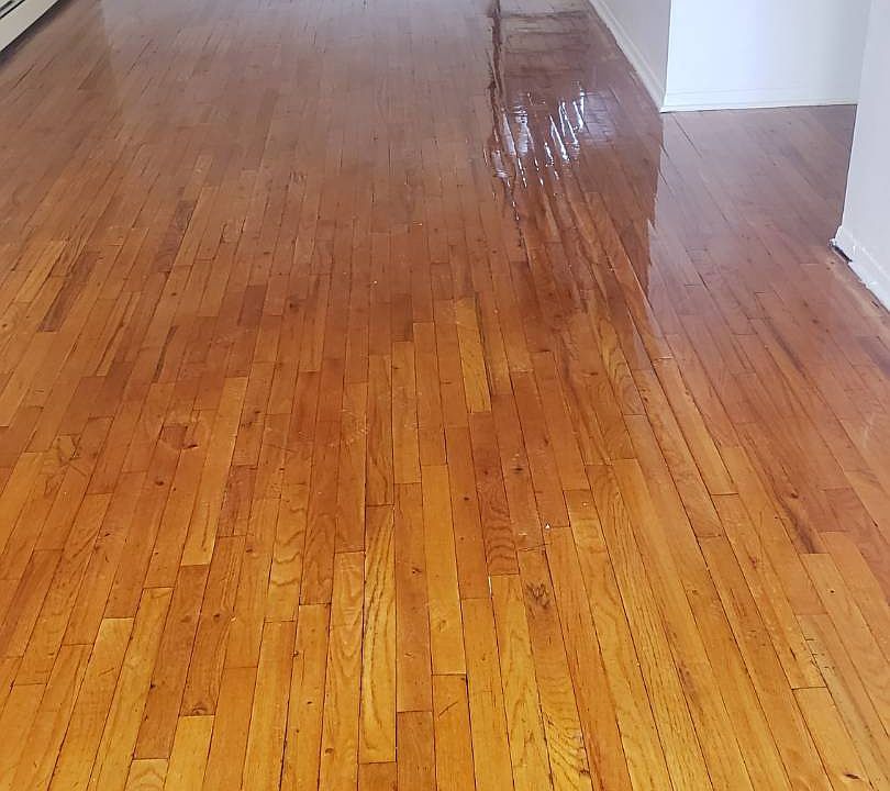 1st image of 921 E 83rd St Floor 3