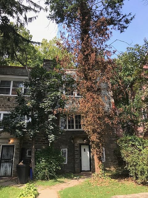 1st image of 35 E Gorgas Ln