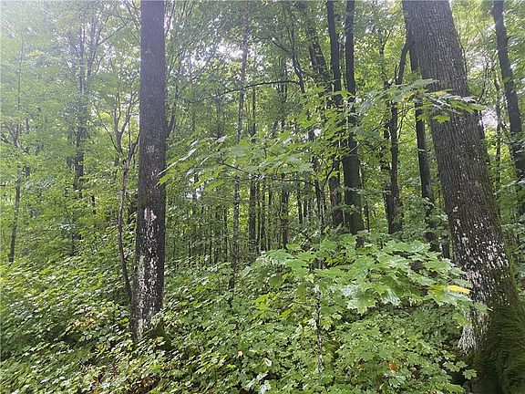 4th image of 00 N Minnesota Ridge Ln