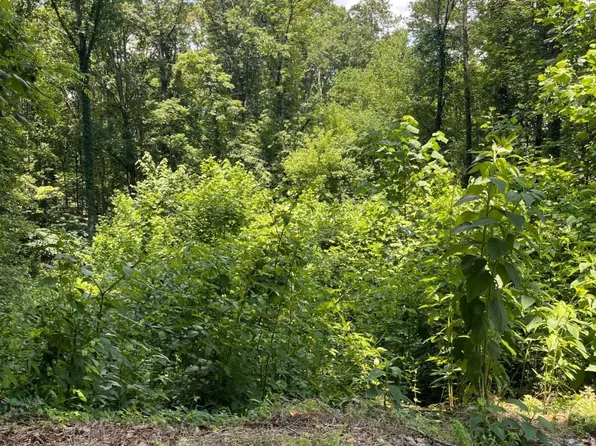 609 Ann Ct, Woodstock, GA 30188