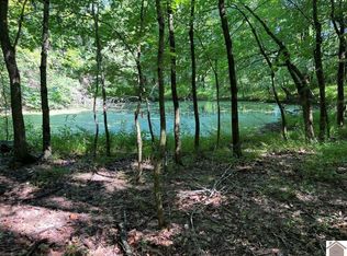 8325 John Steele Rd, Robards, KY 42452