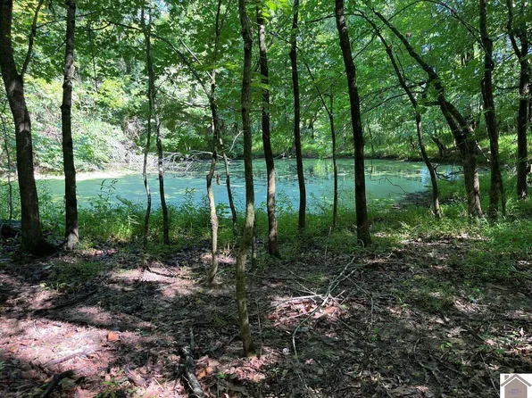 8325 John Steele Rd, Robards, KY 42452