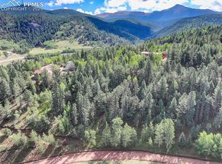 490 Willow Rd, Divide, CO 80814