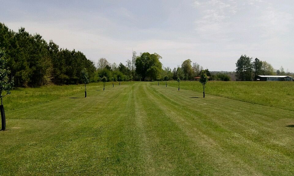 2nd image of 497 Old Dozier Rd