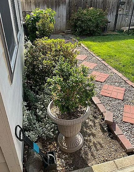 2nd image of 978 Highbury Dr