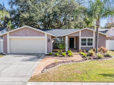 15707 Country Lake Dr, Tampa, FL, 33624
