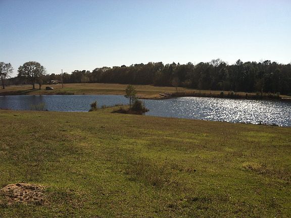 2 ac pond w/ Bass
