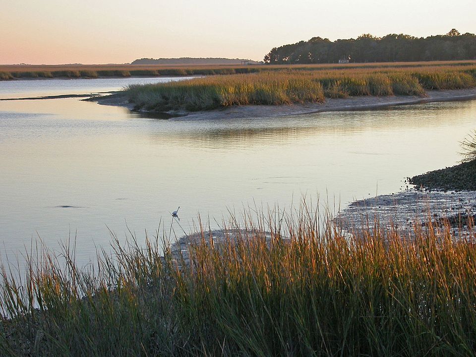 2nd image of 0 Patterson Island Rd
