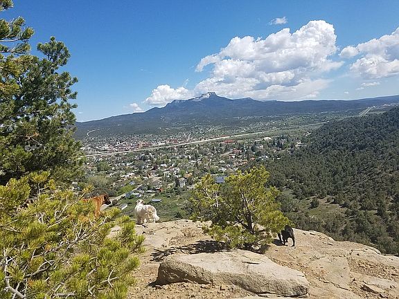 Just above the house