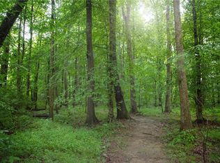 0 Delane Dr, Dallas, GA 30157