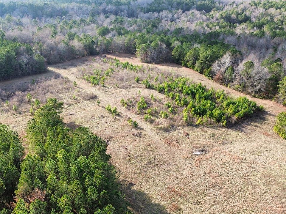 Dji Fly 20251228 153922 194 1766954797407 Photo Optimized
