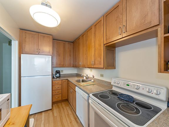 5th image of 88 W Schiller St APT 1902L