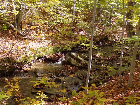 Flat Rock Rd, Browndale, PA 18421
