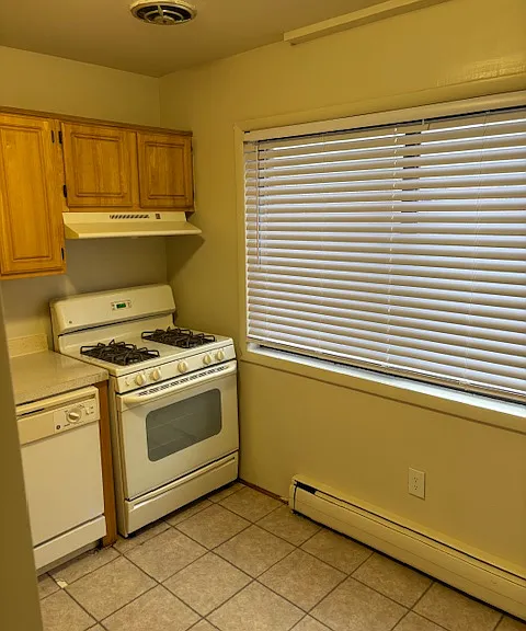 1115 N Randolph St #204 — Photo 6