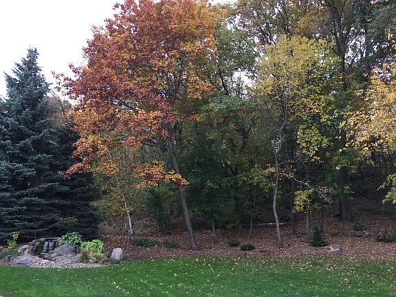 Your back yard is a private oasis.  Peaceful & calming waterfall can be heard inside the home as well.