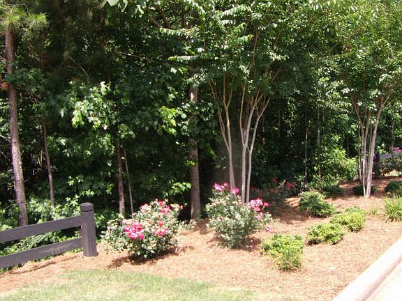 4th image of 5207 Timber Hills Dr