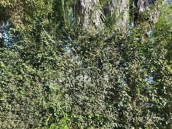 2nd image of 942 Tularosa Dr