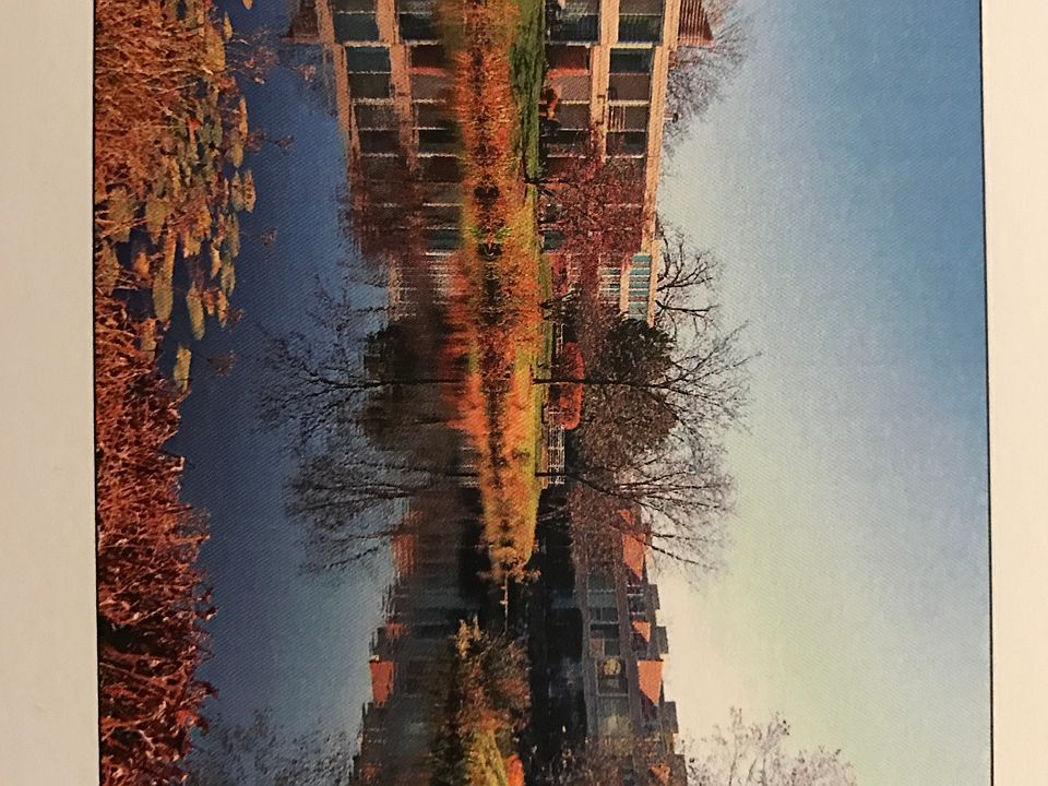 2nd image of 2555 Gross Point Rd APT 404