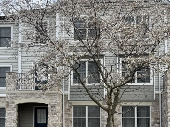 6001 Canyon Creek Dr #303, Dublin, OH 43016