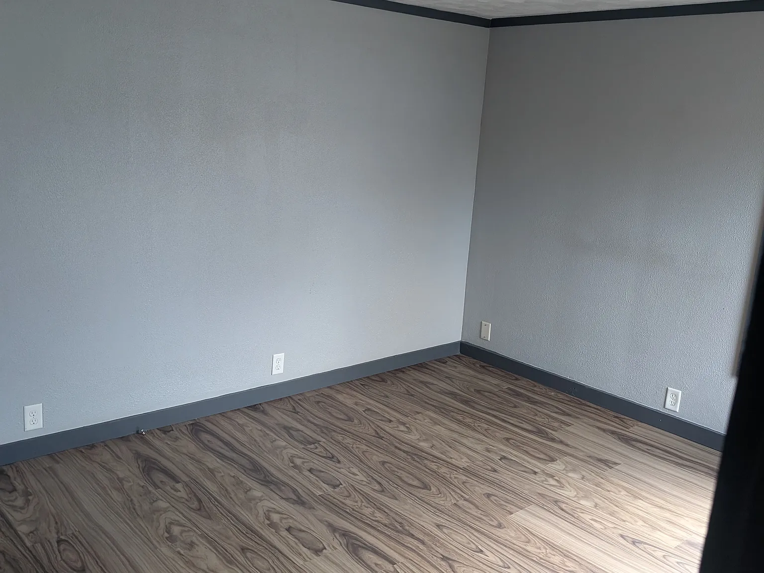 1 bed, 534 sqft, $1,100 — Photo 2
