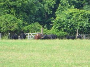 415 Willow Springs Ln, Social Circle, GA 30025