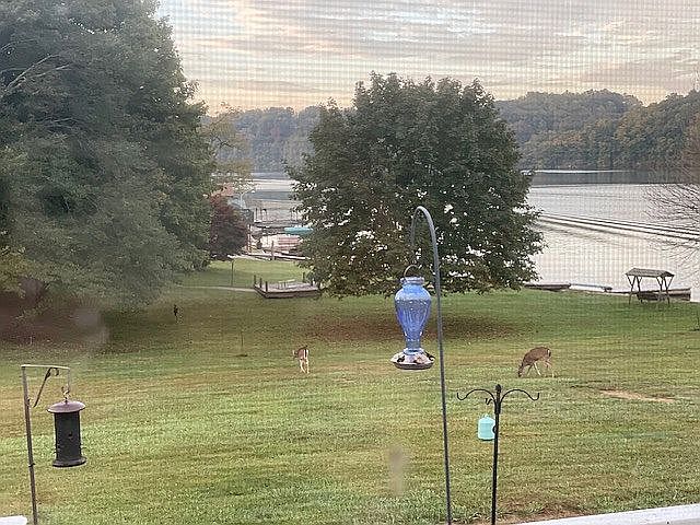 Beautiful lake views